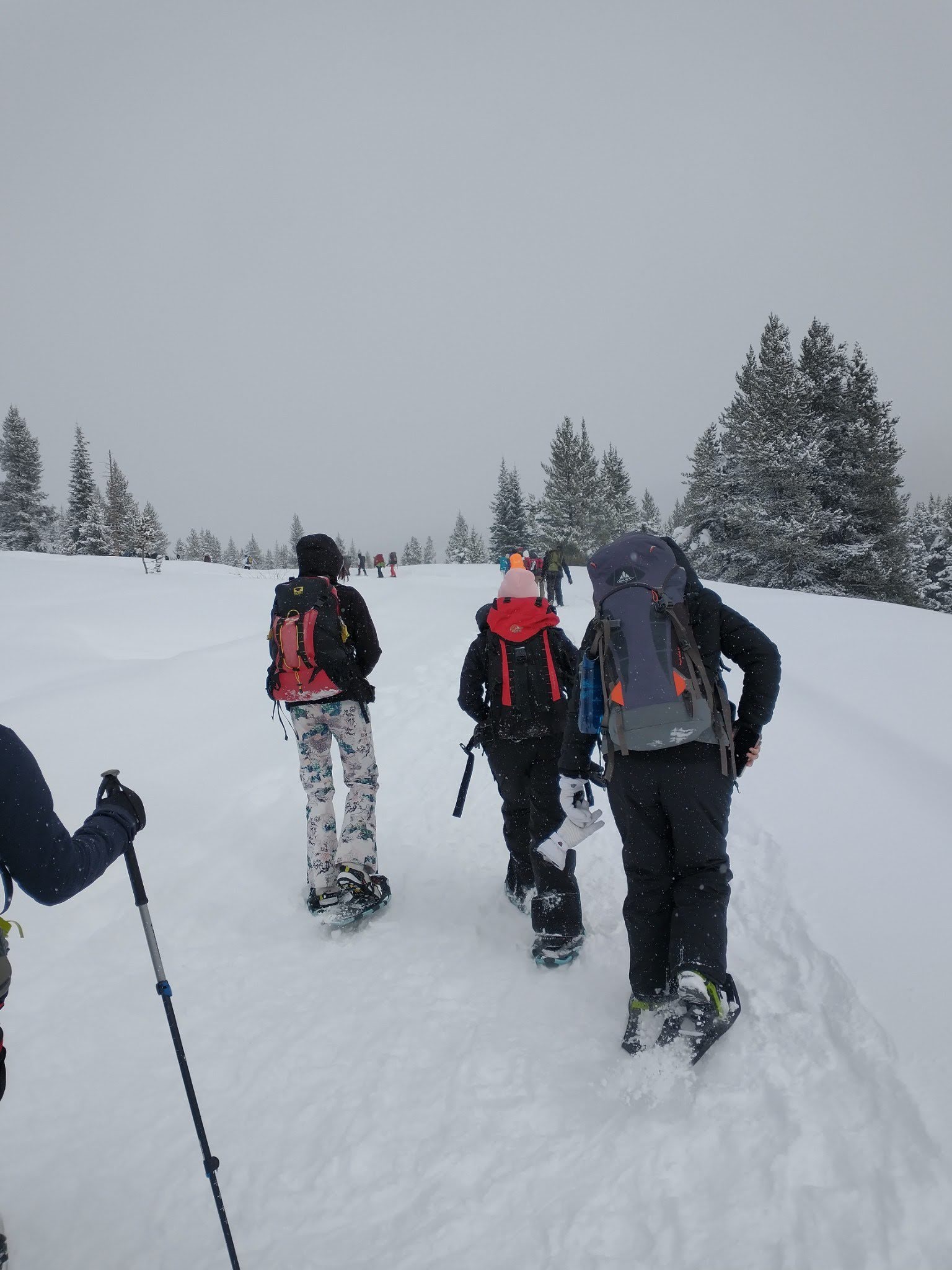 Group hiking in snowy mountains with backpacks and trekking poles.